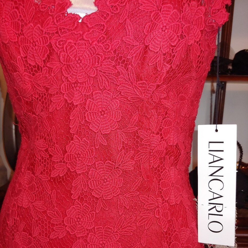 PRICE JUST REDUCED!! NWT LianCarlo Original Red Guipure Lace Long Gown - Picture 3 of 3
